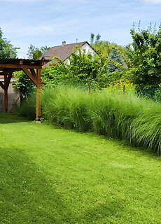 Ancsi Vendeghaz Balatonmariafurdo