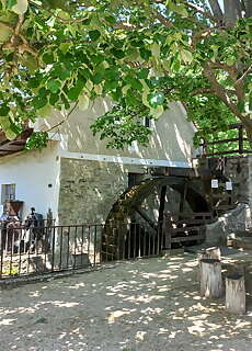 Orsolya Vendeghaz Balatonudvari
