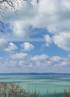 Villa Marcello Vendeghaz Balatonvilagos