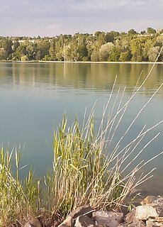 Arina Vendeghaz Balatonvilagos
