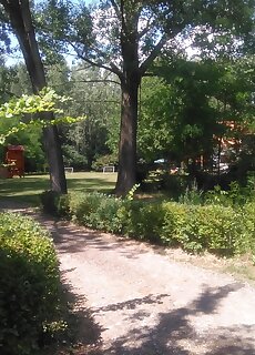 Maci Vendeghaz Bekescsaba