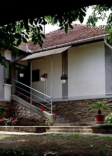 Diofa Vendeghaz Bodvaszilas