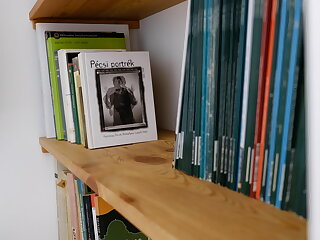 Ginkgo Vendeghaz Pecs szállás