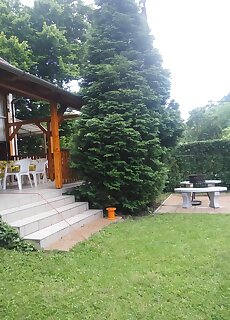 Emese Vendeghaz Bogács