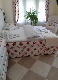 Aranyoshaz Vendeghaz Budapest