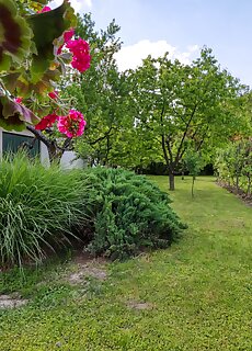Garden House Vendeghaz Bükkszek