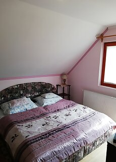 Fonix Vendeghaz Bükkszek