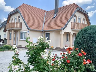 Gitta Apartman 1. Bük szállás