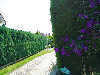 Apartman Brigitte*** Bükfürdő Bük szállás