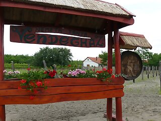 Nemeth Tanya Vendeghaz Pusztaszer szállás