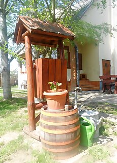 Tamas Tanya Lovas Vendeghaz Debrecen