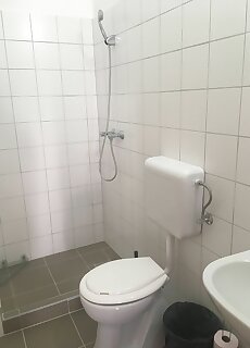 Sarga Csiko Vendeghaz Debrecen