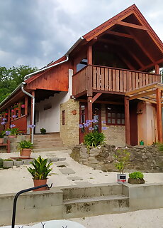 Panorama Vendeghaz Domos