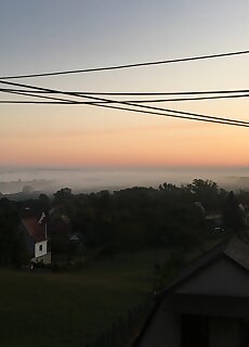 Vadvirag Vendeghaz Dunaalmas