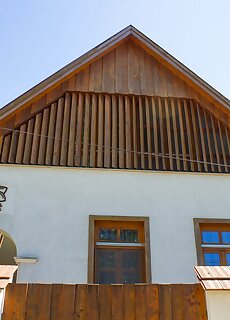 Anemona Vendeghaz Dunaalmas