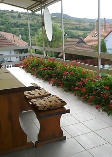 Tokaj Hegyalja Vendeghaz Erdohorvati