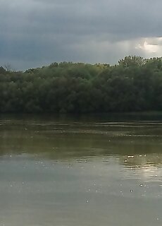 Castor Vendeghaz Ersekcsanad