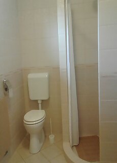 Mandulavirag Vendeghaz Felsoors