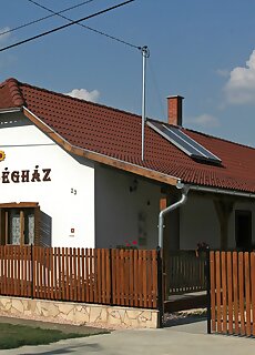Kosa Vendeghaz Gelenes