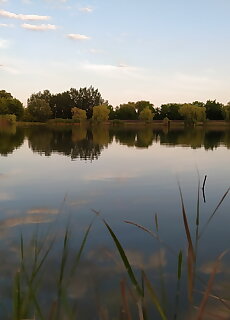 Drotszamar Vendeghaz**** Gyula