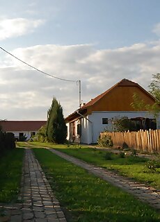 Pava Tanya Es Vendeghaz Gyula