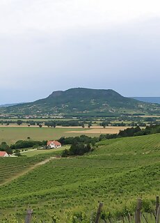 Villa Tolnay Vendeghaz Gyulakeszi