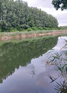 Kifog Lak Vendeghaz Hajduszoboszlo