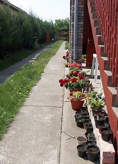 Napfeny Vendeghaz 2 Hajduszoboszlo