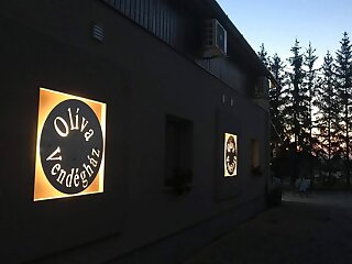 Oliva Vendeghaz Simonfa szállás