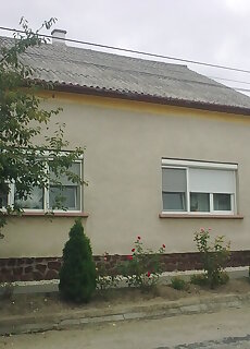 Bodzavirag Vendeghaz Hegyko