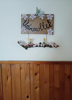 Bocskai Vendeghaz Kaposvar