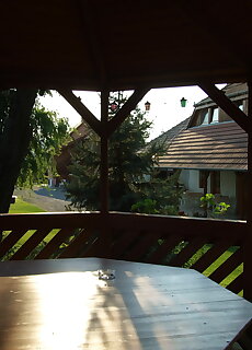 Ibolya Vendeghaz Kehidakustany