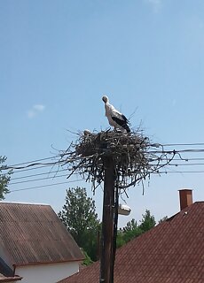 Tiszavirag Vendeghaz Falusi Szallashely Kisar
