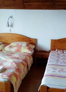 Vadrozsa Vendeghaz Kishuta