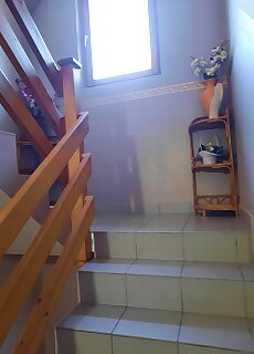 Tulipanos Vendeghaz Gyongyvirag 15 Kiskunmajsa