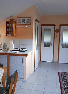 Tuja Vendeghaz Lajoskomarom