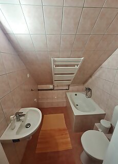 Buzavirag Vendeghaz Magyarszombatfa