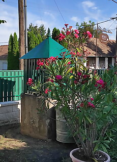Beres Vendeghaz Matraderecske
