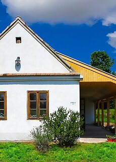 Levendula Vendeghaz Megyer