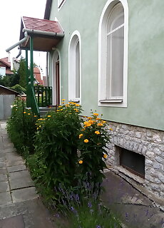 Orgona Vendeghaz Miskolc