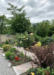 Balint Villa Vendeghaz Miskolctapolca