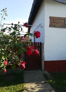 Negy Tucsok Vendeghaz Nagykoru