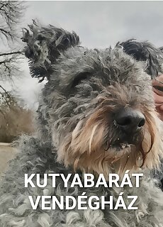 Nagymarosi Vadszolos Vendeghaz Nagymaros