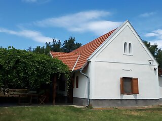 Kali 120 Vendeghaz Tagyon szállás