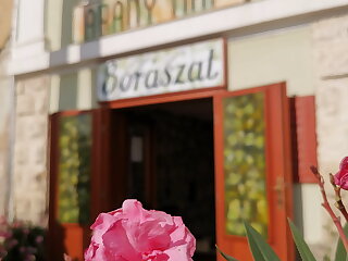 Aranynap Vendeghaz Tallya szállás