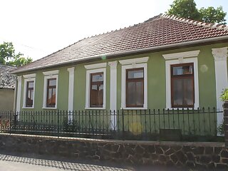 Homoky Csalad Pinceszete Es Vendeghaza Tallya szállás