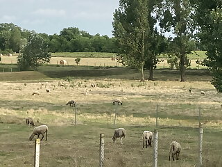 Kis Tisza Horgasz Vendeghaz Tiszaug szállás