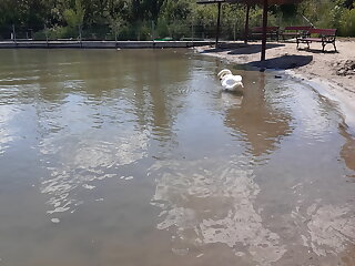 Sziget Lak Strandkozeli Nyaralo Abrahamhegy szállás