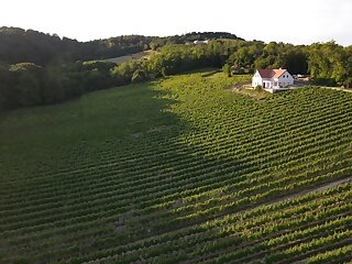 Antmann Bor Terasz Szallas Balatoncsicso szállás