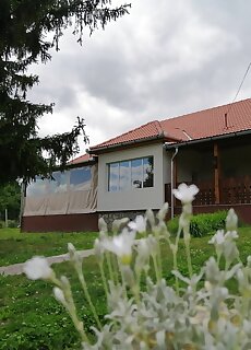 Patakparti Vendeghaz Nyiri
